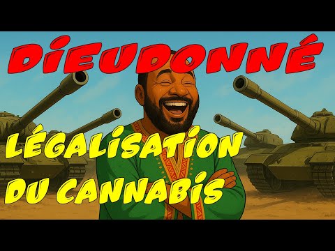 Dieudo : la légalisation du can+bis #humour  #sketch