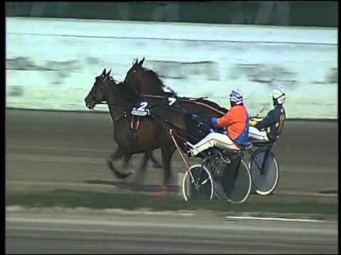 Trotto 07/02/2016 - 6° corsa