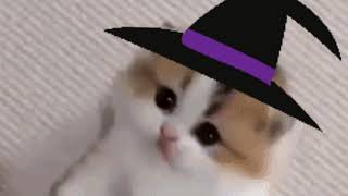 Cover art for not so spooky halloween party 🎵