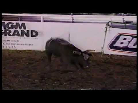 Money Bags bucks Scott Breding - 95 PBR Paso Robles