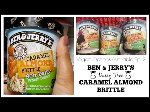 Vegan Options Available: Ben & Jerry's Dairy Free Ice Cream!!! [New Flavors]
