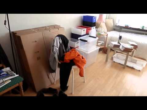 MongoTV_019 - God Eftermiddag Til Jer Alle