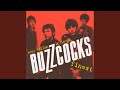 Just Lust - Buzzcocks - Topic Just Lust