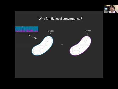 Sylvie Estrela - Rules of microbial community assembly in simple environments