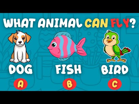 Animals, Colors & Fruits Quiz | See How Many Your Toddler Knows!