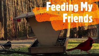 Jurgen's Journeys Feeding Friends