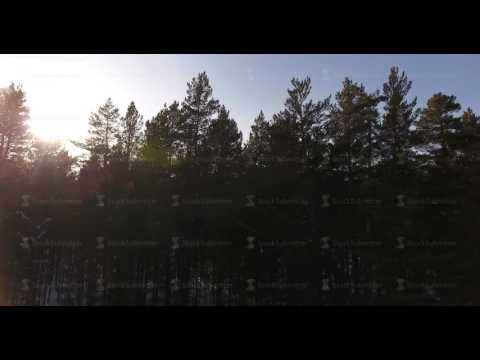 Calm winter nature. Rare shots of the nature of Siberia