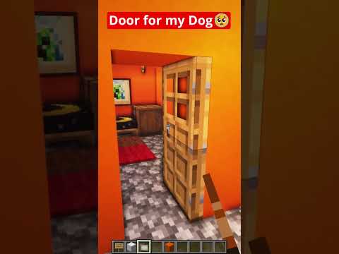 "UNBELIEVABLE: My Dog's Minecraft Door!" #shorts