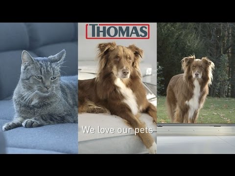 THOMAS PET&FAMILY PLUS