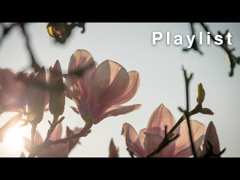 【Relax Playlist】Best Chill Songs｜Sarah Kang Collection