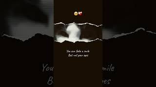 Download lagu my cat eyes mp3