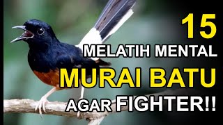 Download lagu 15 Ways to Train the Mental of a Murai Batu to Become a Fighter Using the Opening and Closing Tec... mp3