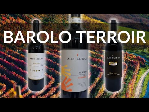 Exploring the BAROLO TERROIR