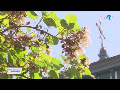 Biserica Grădina Icoanei