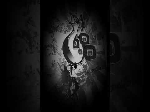 Team Pavone - The New Beginning 2024 - 5.1.'24