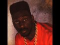 Big Daddy Kane Get Into It (Best Quality)