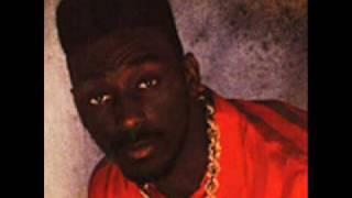 Big Daddy Kane Get Into It    (Best Quality)