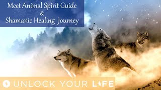 Download lagu Meet Your Animal Spirit Guide Hypnosis and Shamanic Healing Journey for Positive Energy (Meditation) mp3 Download lagu Meet Your Animal Spirit Guide Hypnosis and Shamanic Healing Journey for Positive Energy (Meditation) mp3