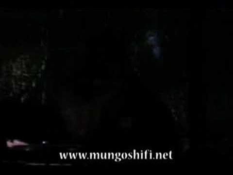 Mungos Hi Fi ft Kenny Knots & African Simba - Screaming Steppa