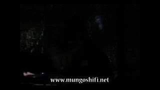 Mungos Hi Fi ft Kenny Knots & African Simba - Screaming Steppa