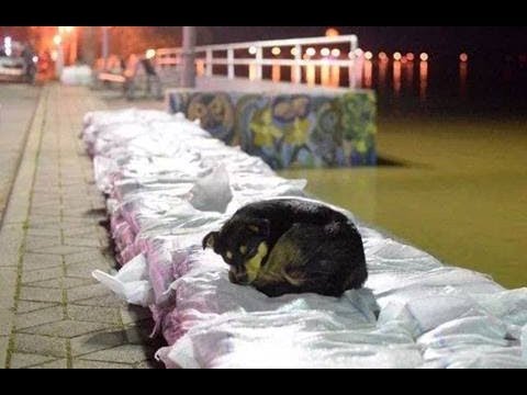 Usporite Savu (Slavonski Brod 2014)