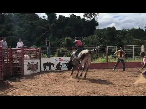 Touro Instagram Cia de rodeio FA