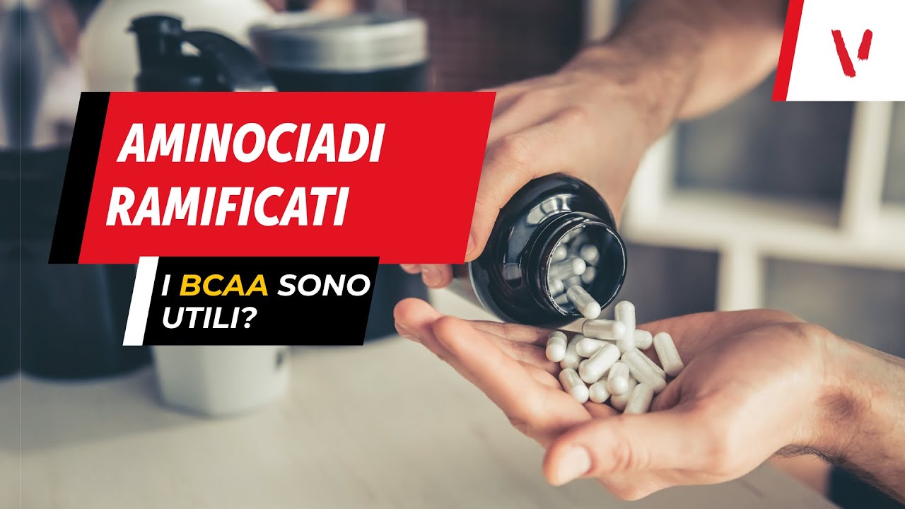 Watch Now Aminoacidi ramificati: a cosa servono Quando prenderli Servono davvero Aminoacidi ramificati: a cosa servono Quando prenderli Servono davvero