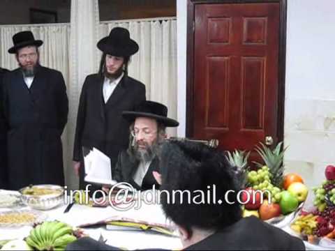 Tu Bishvat 5771 Lelov