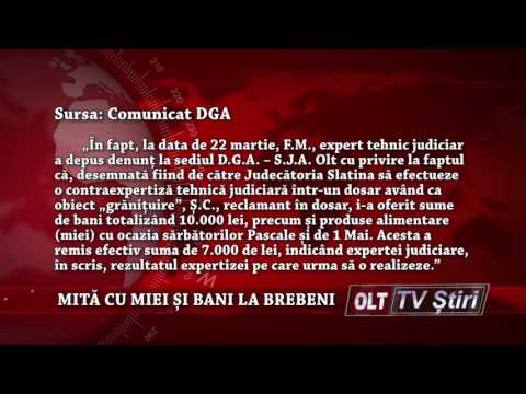 MITA CU MIEI SI BANI LA BREBENI 0405