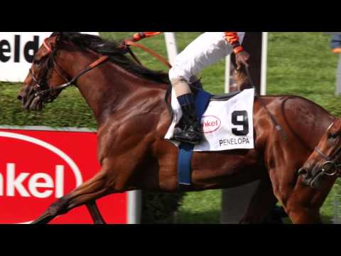 Andreas Wöhler zum Preis der Diana in Düsseldorf