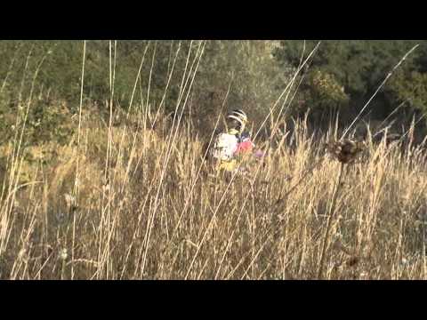 Piliscsév mini cross pálya