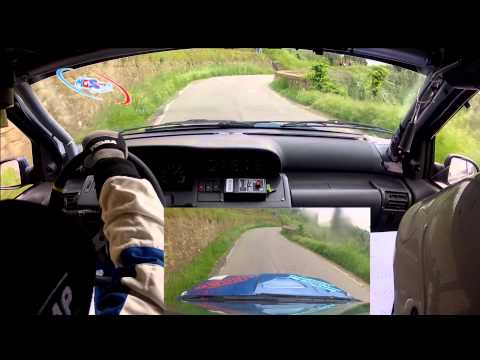 RALLY VAL DI NIEVOLE 2013 BARBATO - MARONI RENAULT CLIO WILLIAMS