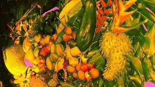 Fred McDowell -- Some Sweet Day