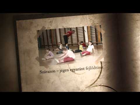 Veszprémi Jéglovagok