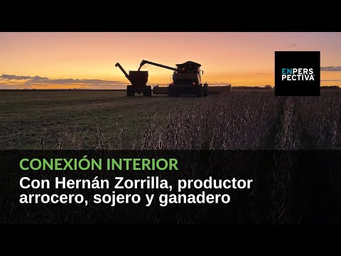 Conexión Interior: Recorremos Treinta y Tres, un departamento arrocero