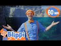 Playing At The Zoo Blippi Feeds And Plays With The Animals Blippi Animals For Kids