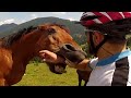 Top 5 Crazy Horses JukinVideo Top Five