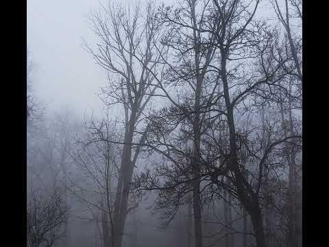 Lil Peep X Zillakami Type Beat “IWannaFeelOkay”