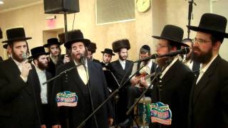 מקהלה ותזמורת חסידית