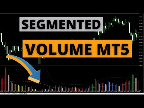 Video Segmented Volume MT5