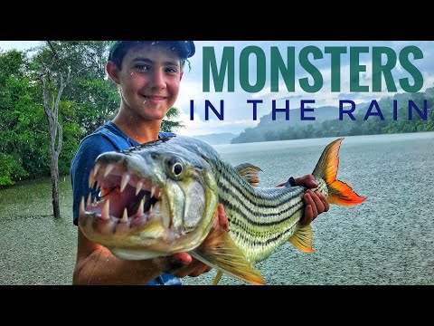 Monster Tiger Fish and Bream (Tilapia/Kurper) Combo While Fishing in the Rain!