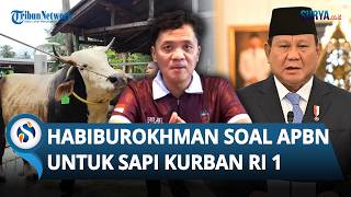 Habiburokhman Tegaskan Soal APBN untuk Sapi Kurban Prabowo: Tak Salah Secara Hukum Maupun Syariah