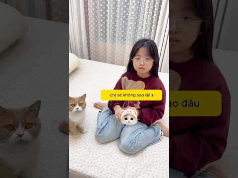 Bé mèo đáng thương biết chăm sóc cho em gái