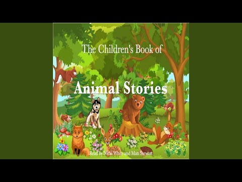 The Tale of Mr. Jeremy Fisher