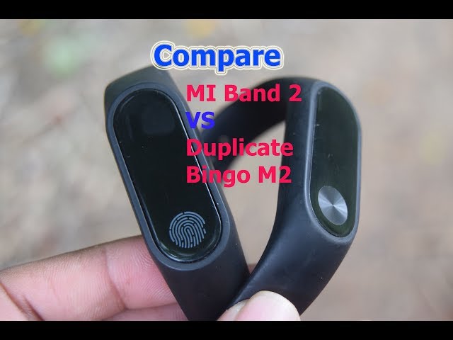 bingo smart band m2