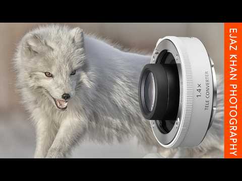 The Truth About Teleconverters  Pros, Cons, and Proper Use!