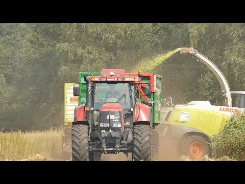 DER ERSTE MAIS 2019|EXTREM TROCKEN|CLAAS JAGUAR 970|NiedersachsensAgrarFilmer