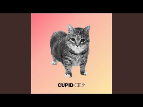Cupid Oiia