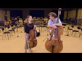 Listen Up This Is What Cello Double Bass Sound Like
