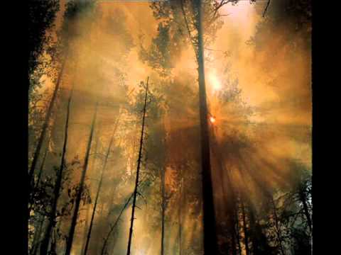 Sven van hees - Breakfast with abductees (SEE DESCRIPTION FOR BETTER QUALITY))